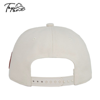 Gorra Deportiva Unisex de Dos Tonos con Letra Bordada en 3D, Estilo Americano, Visera Curva, Cierre a Presión, 100% Sarga, Deportiva