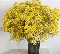 Buket Bunga Baby Breath Kering Alami Awet, Batang Gypsophila Asli Tahan Lama untuk Dekorasi Pernikahan dan Rumah DIY