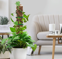 Support de croissance pour plantes d'intérieur Plantes d'extension Poteaux d'escalade Bâton de mousse en plastique Bâton de pilier de mousse de totem de plante