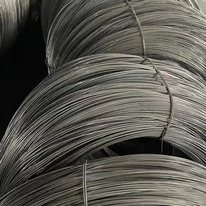 High Quality Low Carbon Steel Wire 0.1mm 0.2mm 0.25mm 0.3mm 0.4mm 1mm SAE1006/1008/1010 Carbon Spring Steel Wire