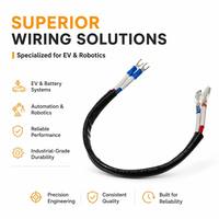 Kit Kabel Wiring ZF untuk Lampu Kabut dan Sistem EPB dengan Kompatibilitas Modul Kontrol Elektronik