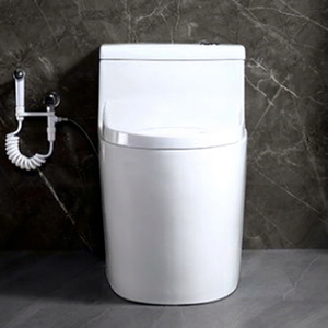 ห้องน้ำเซรามิกต้านเชื้อแบคทีเรียสำหรับผู้ป่วยในโรงพยาบาล - Product Image 1