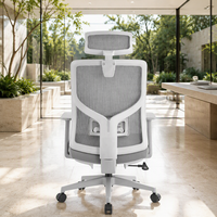 Chaise de bureau contemporaine confortable pour une utilisation prolongée, dossier en maille, hauteur réglable, chaise ergonomique