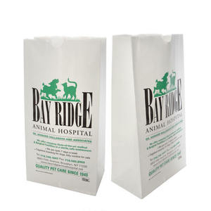 Sac en papier de <span class=keywords><strong>pharmacie</strong></span> d'impression de gravure de prescription Rx Medicine sac en papier kraft blanc pour la médecine - Product Image 6