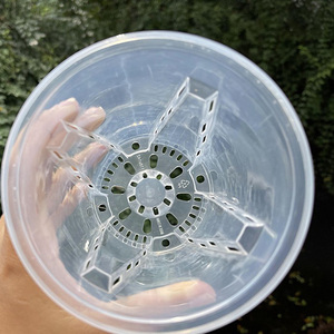 <span class=keywords><strong>Vaso</strong></span> per orchidee <span class=keywords><strong>in</strong></span> plastica, - Product Image 5