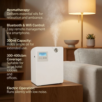 Diffuseur d'huiles essentielles électrique sans eau 300 ml avec contrôle intelligent par application, minuterie, élégant, commercial, nébulisation, vente directe usine OEM ODM
