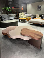 Table basse de luxe moderne en forme de nuage irrégulier, décoration créative pour salon, mobilier d'appoint au design minimaliste