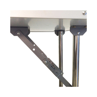 Table de toilettage pour animaux de compagnie pliable de grande taille, antidérapante et portable