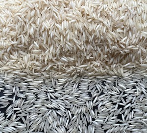 Riz étuvé à grain long IR 64 de qualité supérieure 2% cassé non basmati dur de qualité alimentaire séché en gros approvisionnement d'exportation de l'Inde - Product Image 1