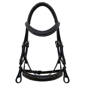 Brida de Cuero de Lujo para Montar a Caballo con Diseño Ergonómico de Divine International India - Product Image 1