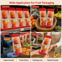 Sac à soufflets latéraux refermable de qualité alimentaire PET/PE avec trous respirants pour l'emballage des fruits