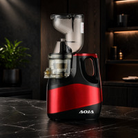 Extracteur de jus lent à mastication en gros 250W 60 tr/min Faible bruit Goulotte d'alimentation 80 mm Nettoyage facile avec brosse