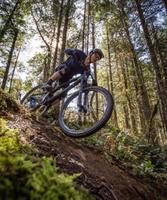Bingkai Sepeda Trail Harga Grosir Karbon Cina 29 Inci Bingkai Suspensi Penuh