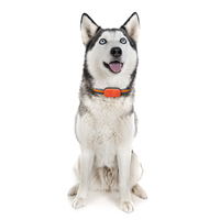 Rastreador GPS para Mascotas a Prueba de Agua YHpet Factory OEM con Collar Gratuito, Sistema de Rastreo por APP+Web+SMS para Perros/Gatos