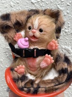 Poupées animales reborn en silicone, mini chat réaliste de 5 pouces, jouet mignon et réaliste