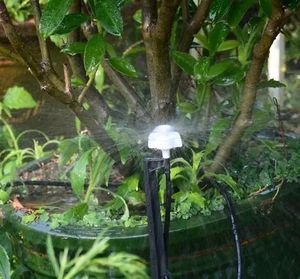 Boquilla de Riego de 360 Grados para Sistema de Riego por Aspersión, Microaspersor de Plástico para Invernadero, Precio de Fábrica en China - Product Image 5