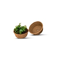 Pots à semis écologiques biodégradables en pulpe de papier, plateaux de démarrage pour pépinière, pour l'agriculture, moulage de pulpe pressée à l'humide