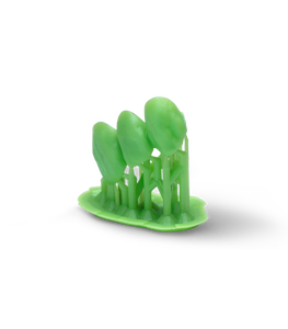 Résine dentaire moulable Phrozen pour imprimante 3D LCD 500g, résine UV pour moulage dentaire, résine d'impression 3D - Product Image 3