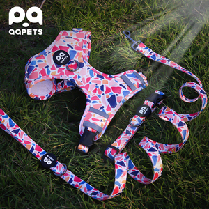 Collar de perro de nailon personalizable de lujo acolchado de neopreno estampado moderno fácil de limpiar varios tamaños correa de perro de bajo precio transferencia de calor - Product Image 1