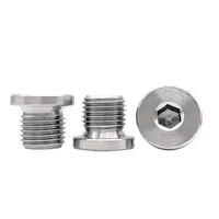 Vis de bouchon de tuyau hexagonale en acier inoxydable 304 DIN908 pour systèmes hydrauliques et moteurs, avec caméra espion intégrée