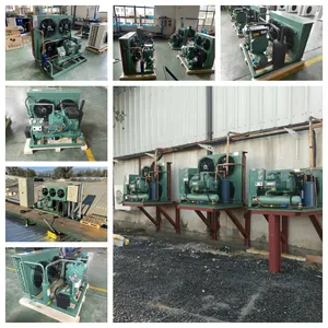 3hp 5hp 12hp 20hp 40hp Unit kompresor pendingin ruangan dingin Unit kondensor pendingin udara untuk ruang dingin