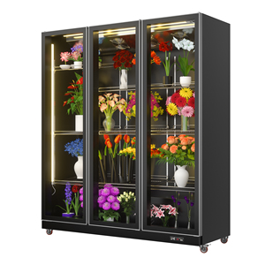 Réfrigérateur de présentation pour fleurs, congélateurs de présentation, armoires réfrigérées de présentation, réfrigérateur à fleurs d'<span class=keywords><strong>occasion</strong></span> - Product Image 3