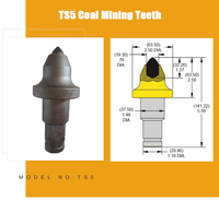 Dents de tranchée coniques en carbure de tungstène + 42CrMo TS31C X et porte-dents de tranchée pour la construction de fondations