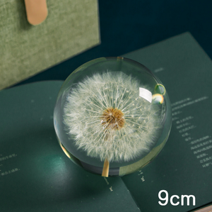 Özel 3D 7cm 8cm 9cm reçine orb doğal çiçek bitki gerçek karahindiba <span class=keywords><strong>Paperweight</strong></span> yılbaşı hediyeleri kristal cam ev dekor - Product Image 4