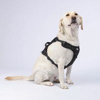 Ensemble Harnais Gilet Tactique de Dressage pour Animaux, Qualité Supérieure, Personnalisable, Marron, Ajustable, Contrôle Facile, Robuste, pour Grands Chiens de Travail