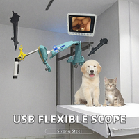 Laryngoscope vidéo flexible portable, bronchoscope, nasopharyngoscope, cystoscope, robot chirurgical vétérinaire pour hôpital