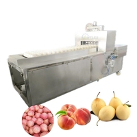 Équipement de dénoyautage de fruits en acier inoxydable machine à fendre la coupe la pomme la poire