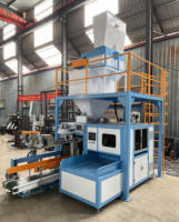 Machine à emballer automatique pour paquet de riz de 20 à 50kg, remplissage de riz de sel de sucre d'ensilage dans un sac et un sac tissés en polyéthylène