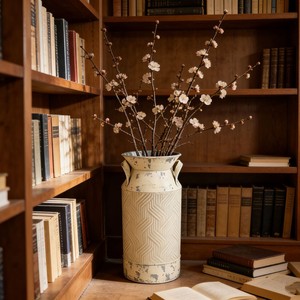 Vasos de Ferro Forjado Estilo Pastoral Europeu-Americano, Vasos de Flores com Acabamento Envelhecido, Decorações para Sala de Estar, Varanda e Jardim - Product Image 2