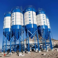 Silo per Cemento, Sabbia e Calcestruzzo Verticale a Basso Prezzo, Capacità da 30 a 1000 Tonnellate, con Fissaggio a Vite