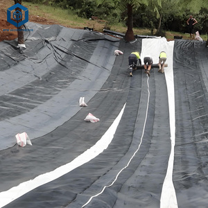 HDPE Geomembrane Sheet <strong>2</strong> mm Thickness Harga Geomembrane HDPE for Tank Lining <strong>Applications</strong> - Product Image 1