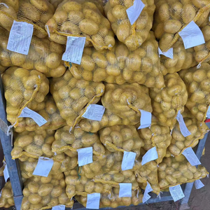 Pommes <span class=keywords><strong>de</strong></span> terre fraîches, nouvelle récolte, <span class=keywords><strong>vente</strong></span> en gros à bas prix, légumes frais - Product Image 1