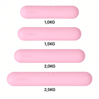 Pilates Yoga Logo personnalisé écologique Gym à domicile Fitness haltères en silicone barre d'haltères barre de faisceau de puissance haltères