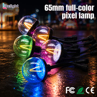 Luz de píxel esférica programable RGBW de 65 mm DC24V UCS2904 SPI IP67 para proyectos de iluminación de atracciones al aire libre y montañas rusas