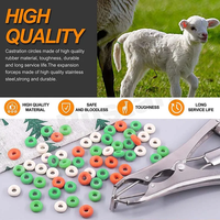 Instruments chirurgicaux de castration pour animaux de grande taille en gros, pinces de décapage de queues et pinces de désornement pour porcs et moutons