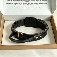 Maßgefertigtes Schwarzes Echtleder-Hundehalsband mit Griff, Goldene Metallbeschläge, Robustes Breites Haustierhalsband für Tägliche Spaziergänge