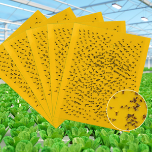 Çift taraflı yapışkan böcek kurulu sarı böcek tuzak kurulu sarı uçan böcek sopa meyve sinek tuzak - Product Image 5