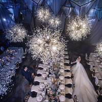 Lampes suspendues en cristal de pissenlit de plafond pour mariage