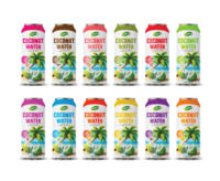 Boissons gazeuses en gros sans sucre ajouté, eau de coco naturelle saveur originale 250ml 330ml 355ml 500ml