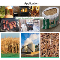Machine à granulés de biomasse à partir de paille de riz, de paille de bois, de granulés de bois, de luzerne, de canne à sucre, de bagasse, prix de la machine à granulés de biomasse