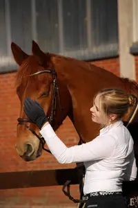 Gants équestres personnalisés du fabricant Horshi gants d'équitation avec l'écran tactile unique et sensible Capacité des doigts