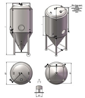 Cuves De Fermentation pour Mini brasserie, clé en main Ss316l 200L