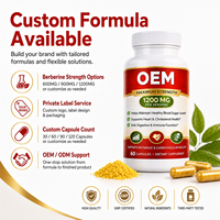 Capsules végétaliennes OEM Berberine Plus 1200mg Extrait de Coptis Curcuma Soutien Digestif Métabolique Immunitaire Complément Alimentaire Marque Privée
