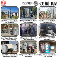 Chaudières à vapeur à biomasse personnalisables pour hammams et spas, à combustion de bois, 150 kg/h - 200 kg/h, pour l'industrie