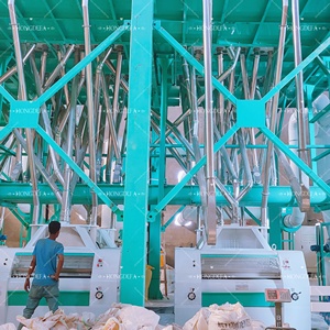 240TPD Industrial Maize Flour <strong>Mill</strong> Machine Milling Plaant in Bahir Dar, Ethiopia - Product Image 4