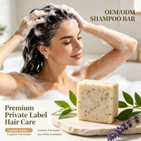 OEM/ODM SHAMPOO BAR Tanpa Plastik Berbahan Dasar Tumbuhan Perawatan Rambut Alami Sampo Padat Ramah Perjalanan